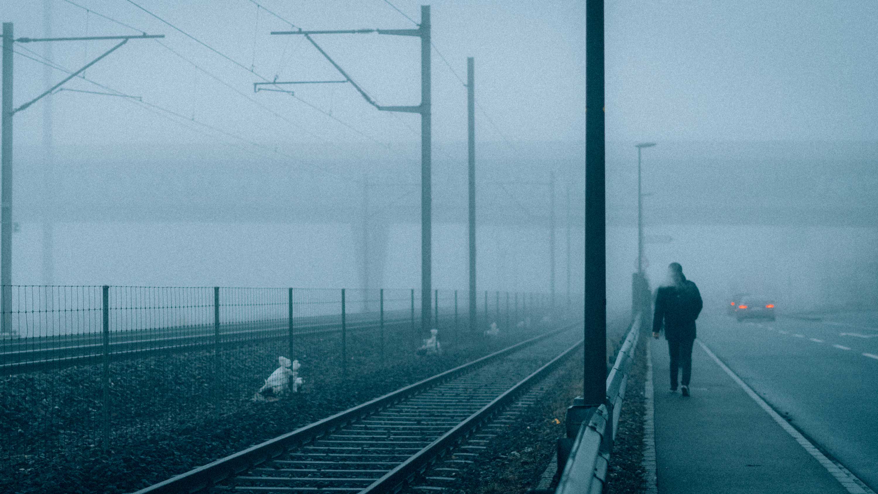 Fog